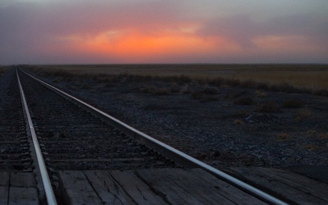 Riflessioni sulla società